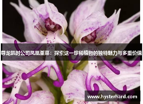 尊龙凯时公司凤凰堇菜:探索这一珍稀植物的独特魅力与多重价值 尊龙凯时公司凤凰堇菜:探索这一珍稀植物的独特魅力与多重价值