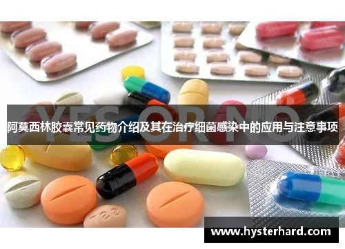 阿莫西林胶囊常见药物介绍及其在治疗细菌感染中的应用与注意事项